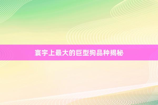   寰宇上最大的巨型狗品种揭秘