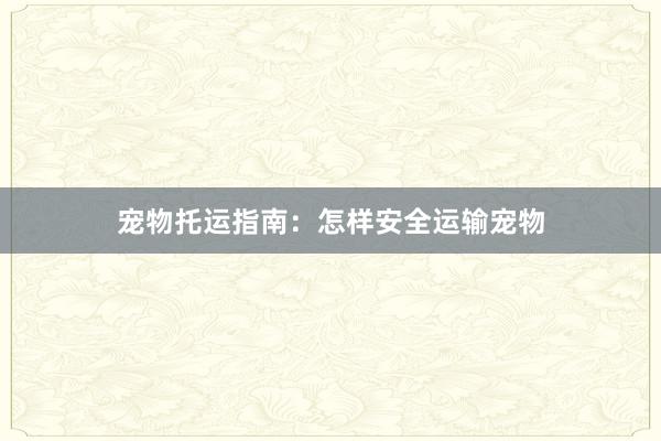   宠物托运指南：怎样安全运输宠物