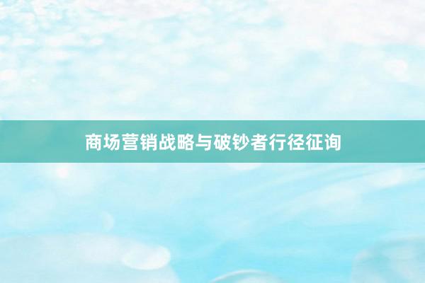   商场营销战略与破钞者行径征询